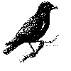 J. Crow's® LLC logo